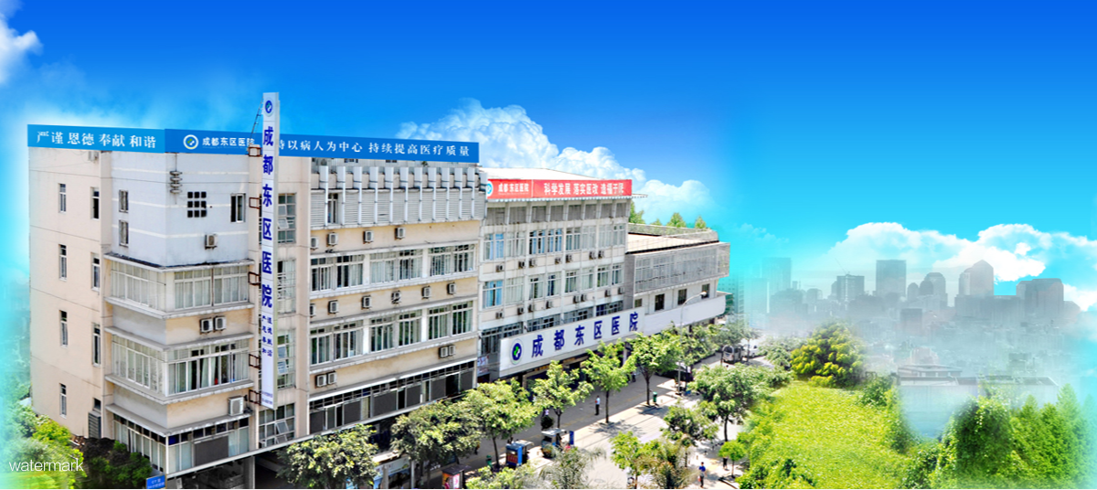 四川省成都東區(qū)醫(yī)院——疫情防控智慧測(cè)溫人臉識(shí)別健康碼及豪華小擺閘門(mén)禁通行項(xiàng)目